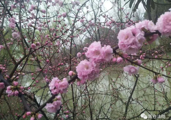 【 今 日 头 条 】 “ 镇 雄 关 春 天 一 直 输 怎 么 办 ” ( 其 实 是 有 挂 )